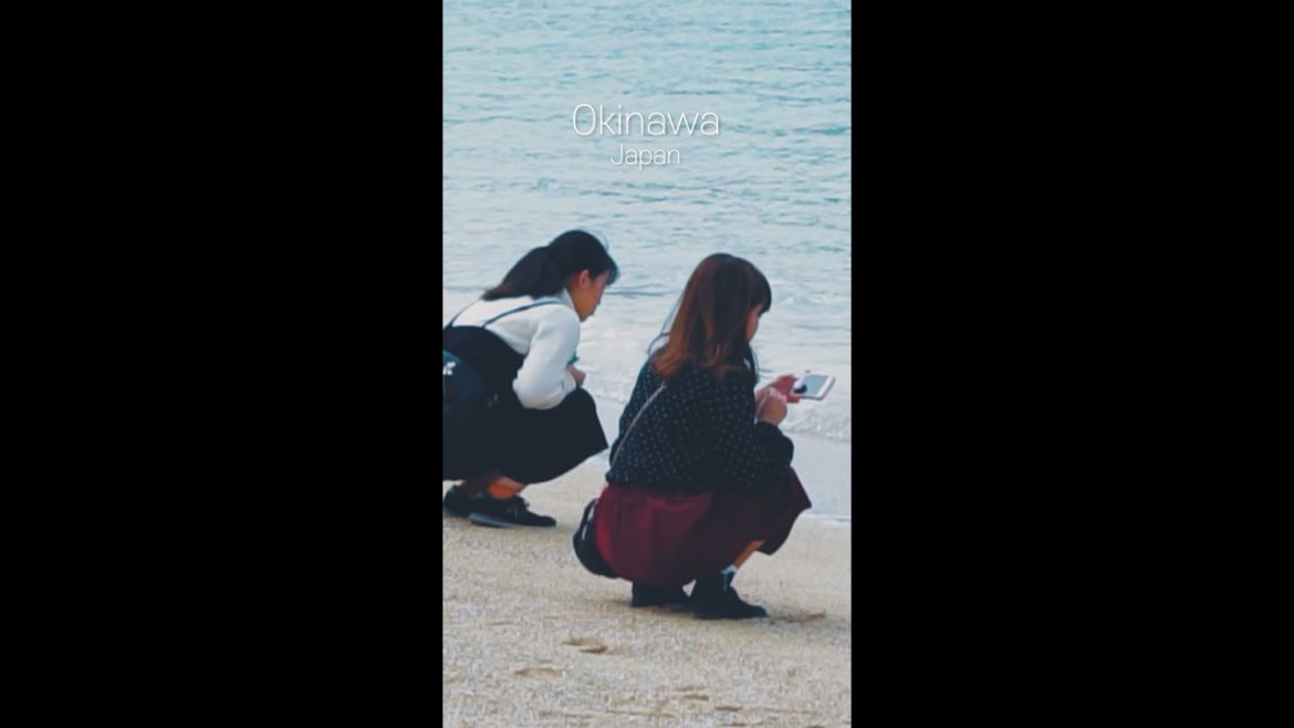 오키나와 여행 1분 요약🇯🇵 I 할로필름
