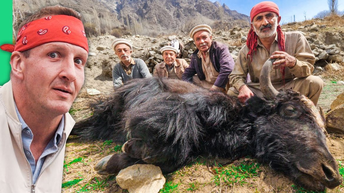 Cooking Entire YAK!! Pakistani Mountain Food in Hunza!! Cooking Entire YAK!! Pakistani Mountain Food in Hunza!!