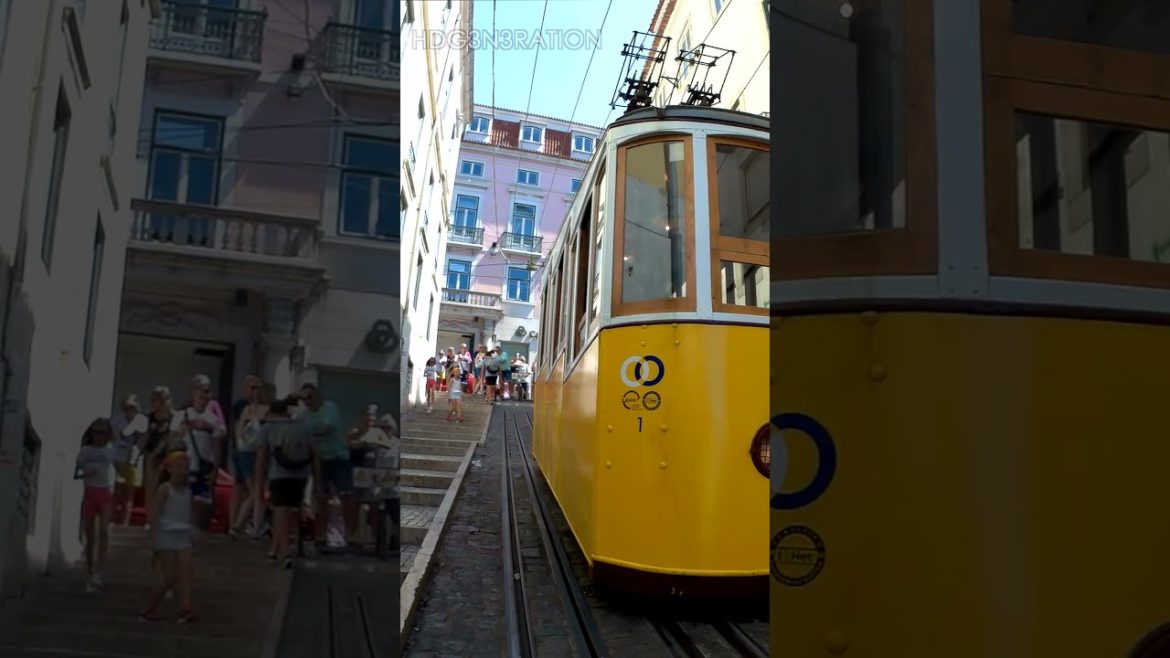 What to Visit in Lisbon