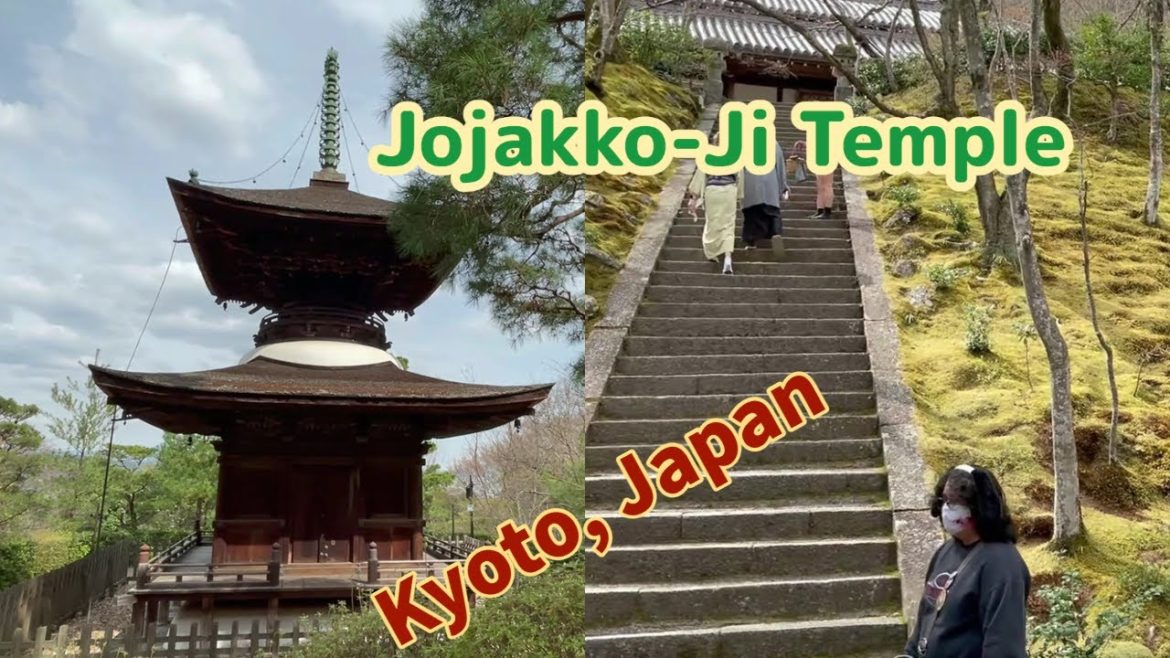 The Hidden Beautiful Temple | Jojakko-Ji Temple | Kyoto, Japan