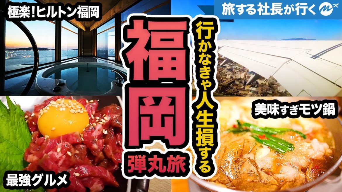 福岡42歳ひとり旅。モツ鍋などの絶品グルメを堪能しすぎて感動。 福岡42歳ひとり旅。モツ鍋などの絶品グルメを堪能しすぎて感動。