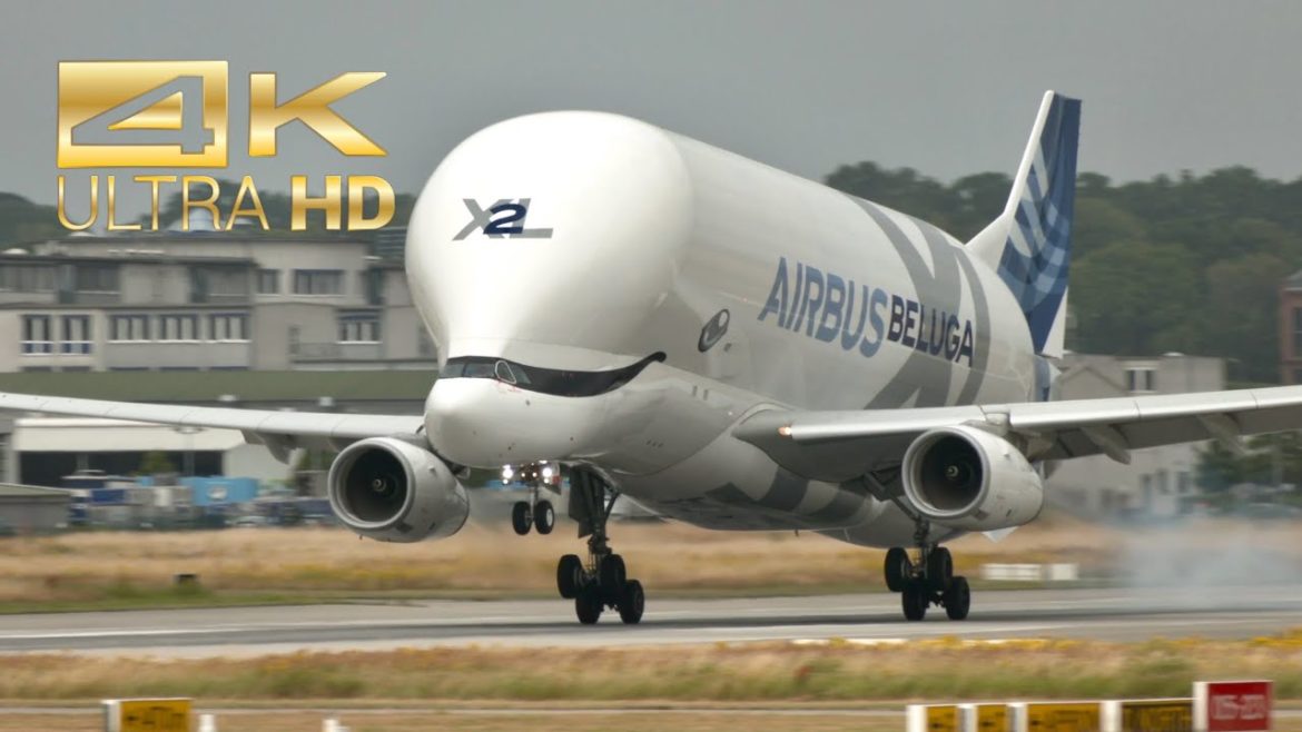 (4K) Airbus Beluga XL 2 F-GXLH A330-743L go around & landing XFW Airbus Hamburg crosswind approach (4K) Airbus Beluga XL 2 F-GXLH A330-743L go around & landing XFW Airbus Hamburg crosswind approach
