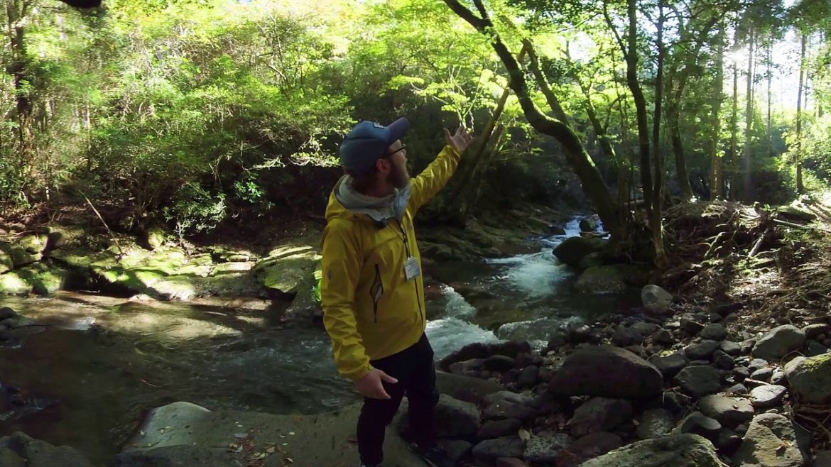 (360 °VR video) A virtual tour of Aso's wilderness with a guide! Kumamoto Prefecture_Aso (360 °VR video) A virtual tour of Aso's wilderness with a guide! Kumamoto Prefecture_Aso