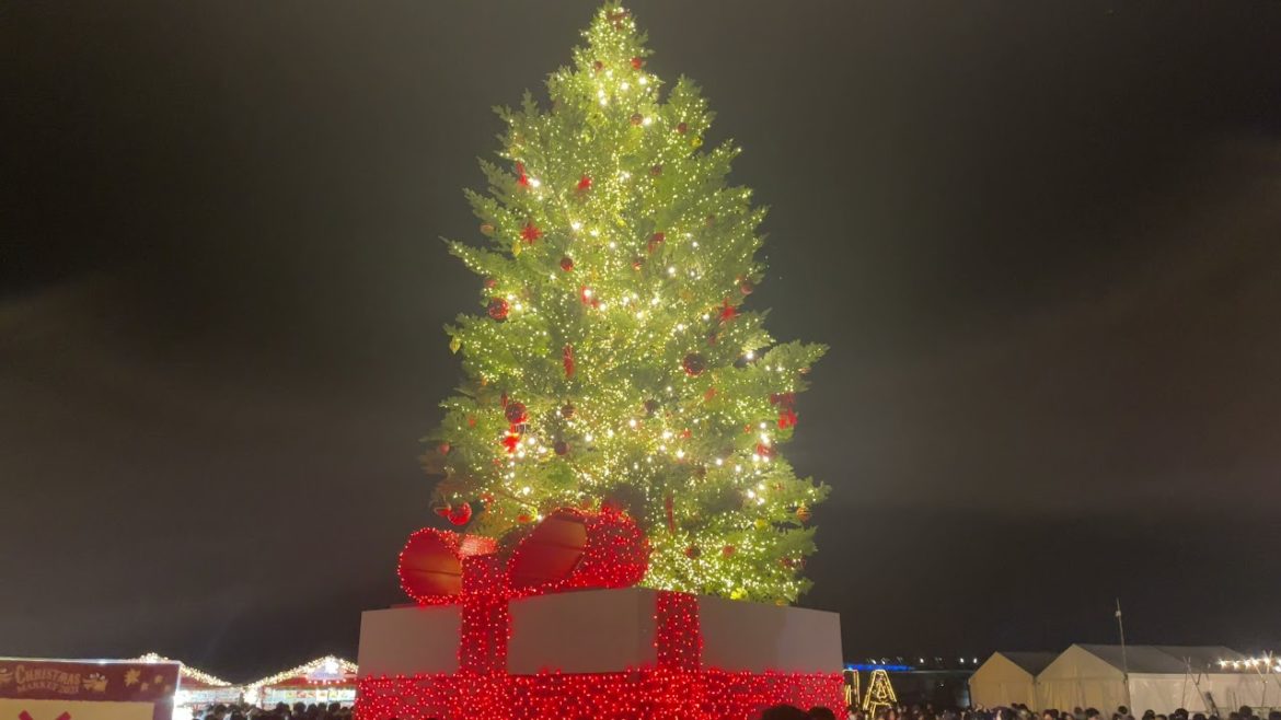 Perfect Spot for Christmas Date in Yokohama＃shorts