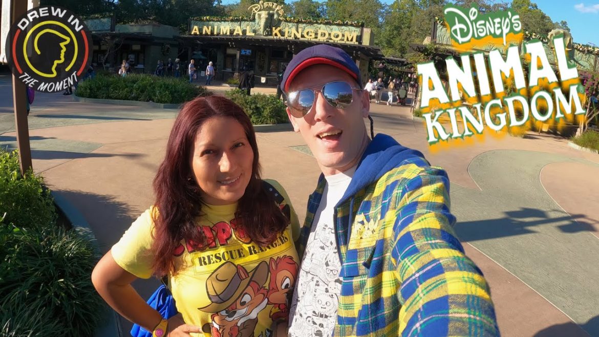 🔴 LIVE: Animal Kingdom - Characters, Rides, Snacks & More 08-04-22 - Walt Disney World #Live