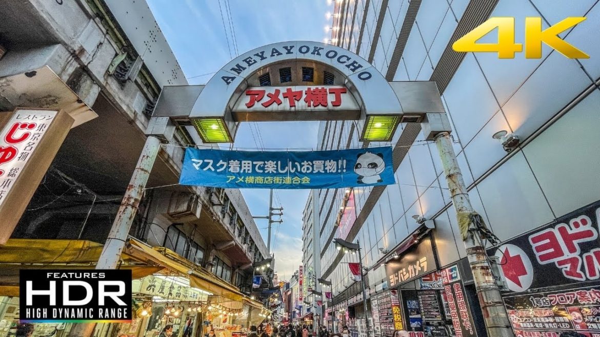 🐙 [4K HDR] Night Walk In Ameya Yokocho, One Of The Busiest Market In Tokyo
