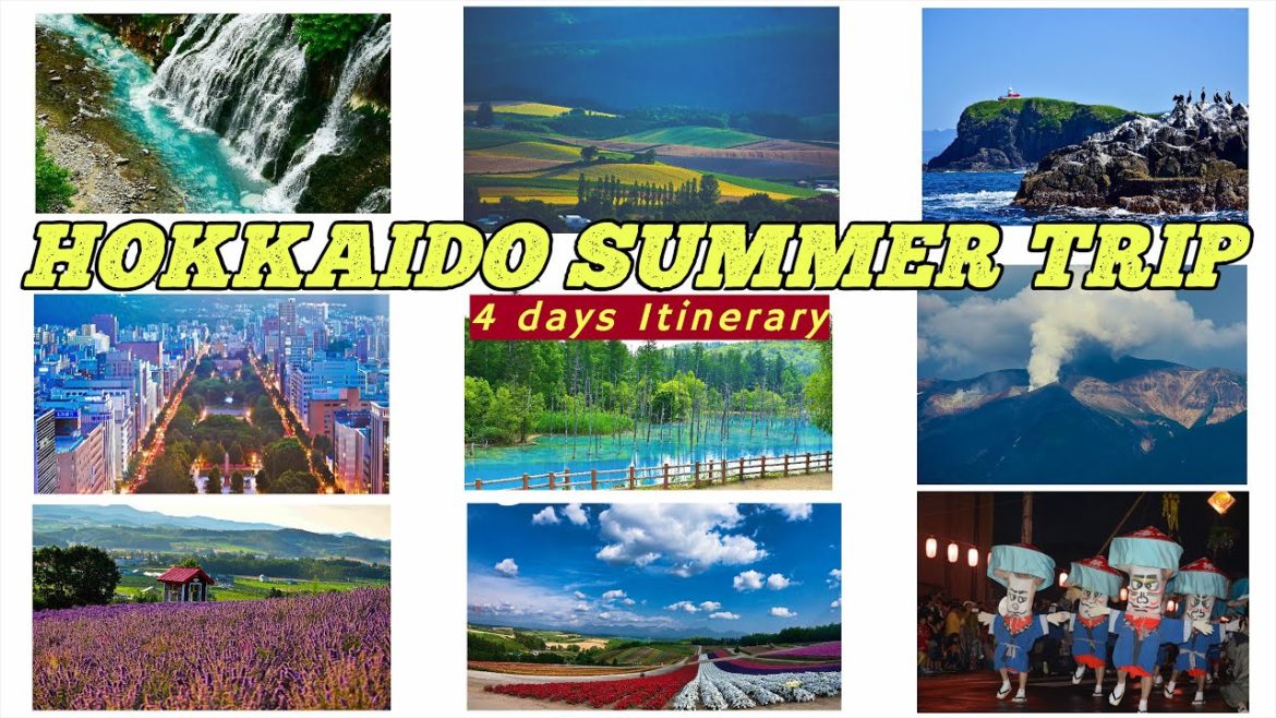 Hokkaido Summer Trip - 4 days Itinerary |  北海道旅行（夏）#富良野 #美瑛 #小樽  #札幌