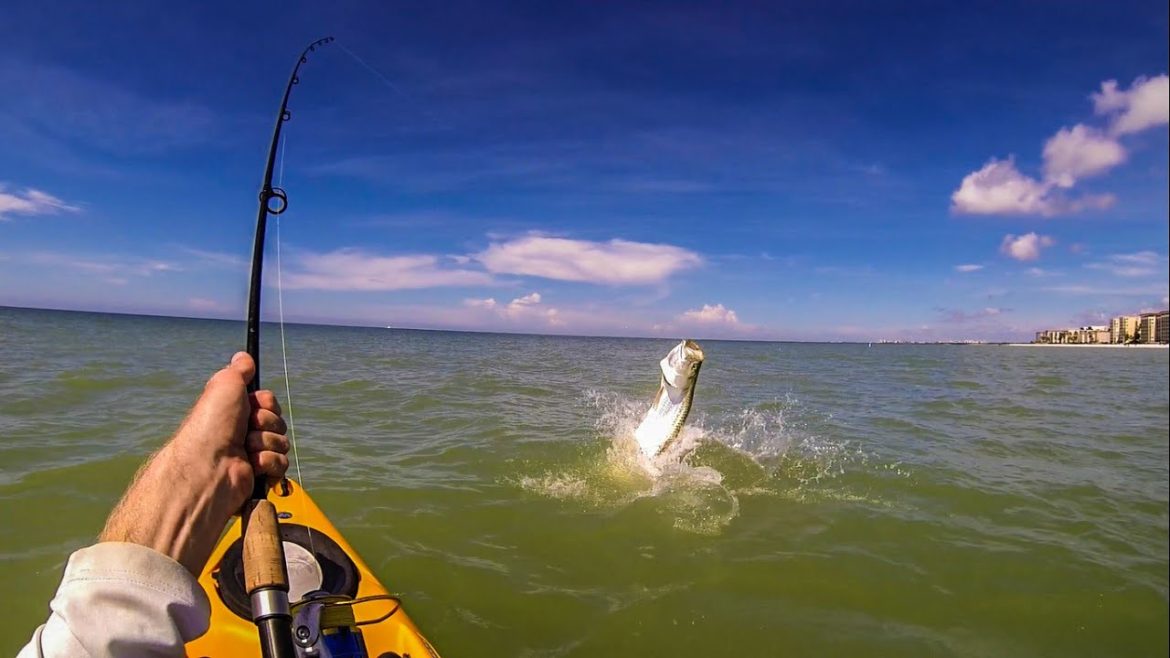 2015 Kayak Tarpon Fishing Naples Florida
