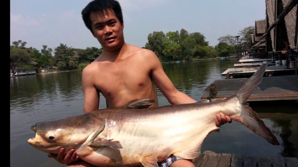 China anglers- 6 days Fishing Adventure Tour - Bkk Fishing Tour- BKKGUY