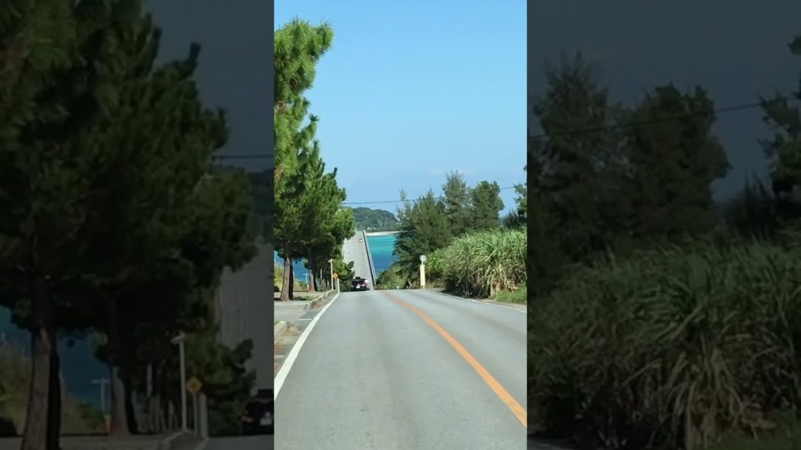 でーじきれい！これぞ沖縄ブルー！#shorts