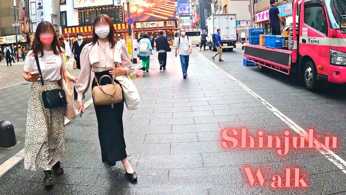 Kabukicho Shinjuku Tokyo in Japan walking tour. 【4K】5.2022