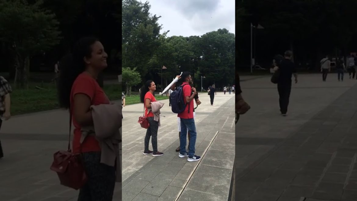 Touring Japan Japanese Street Food Experience at the Ueno Onshi Park of Taitō, Tokyo, Japan
