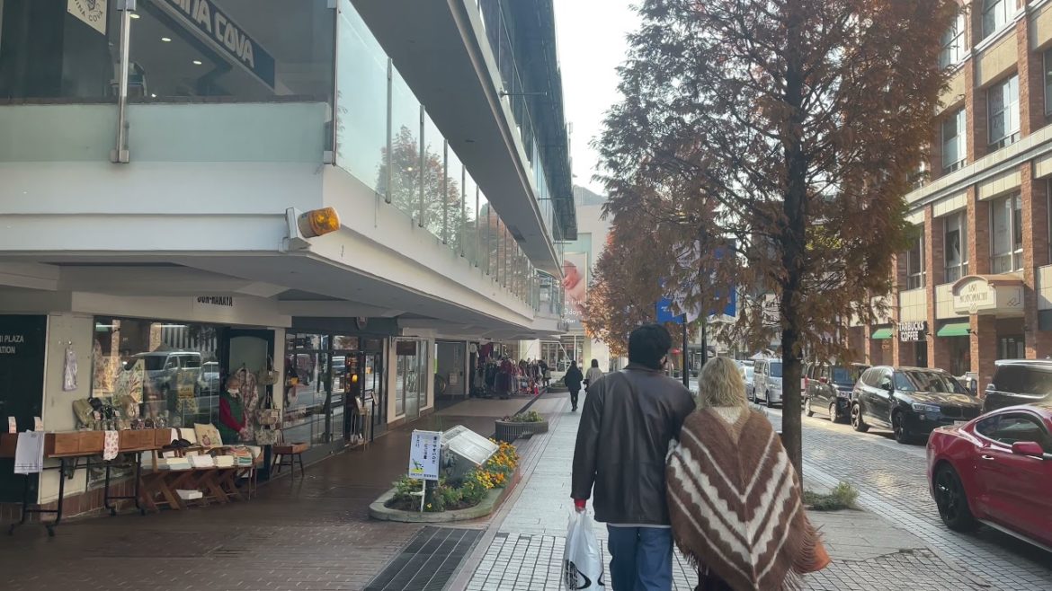 Historical Shopping Street in Yokohama #shorts