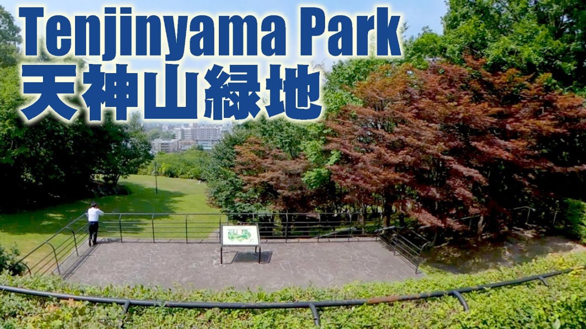 天神山緑地を散歩しました　I took a walk in Tenjinyama Park.