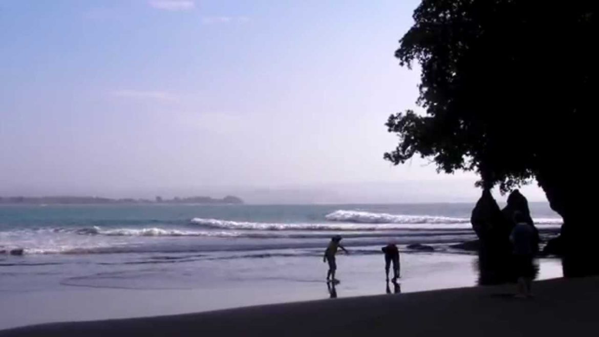 CMO 2010 Batukaras West Java