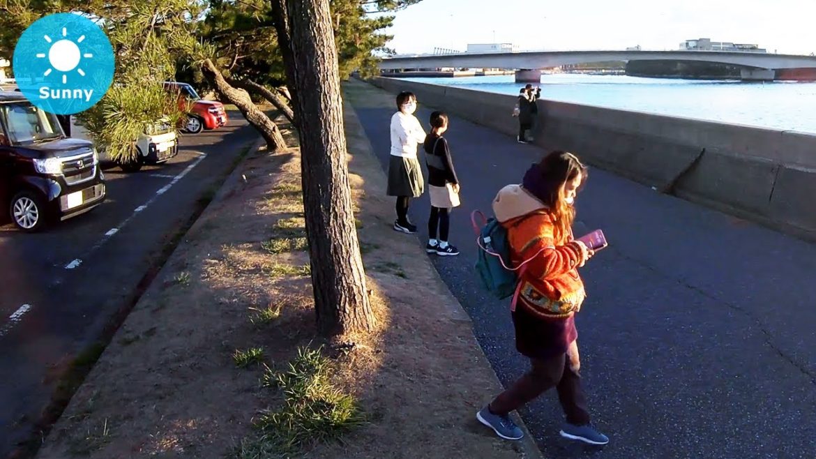 ⁴ᴷ Chiba: Kisarazu (木更津) – Japan Walking Tour (January 8, 2021) ⁴ᴷ Chiba: Kisarazu (木更津) - Japan Walking Tour (January 8, 2021)