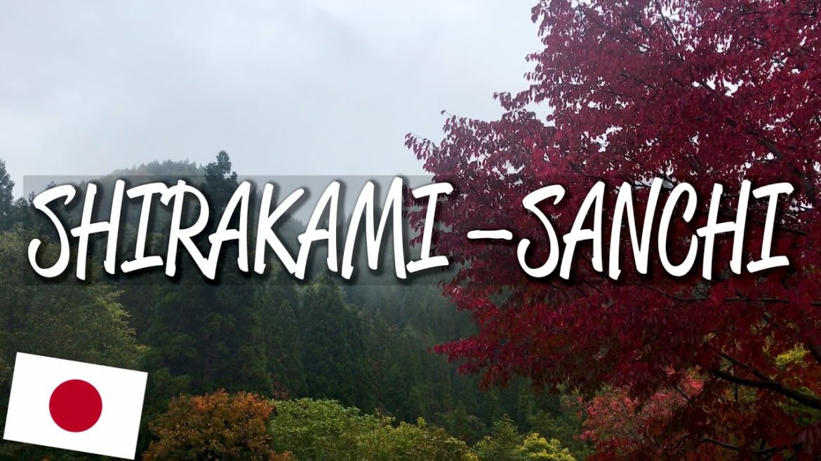Shirakami-Sanchi - UNESCO World Heritage Site