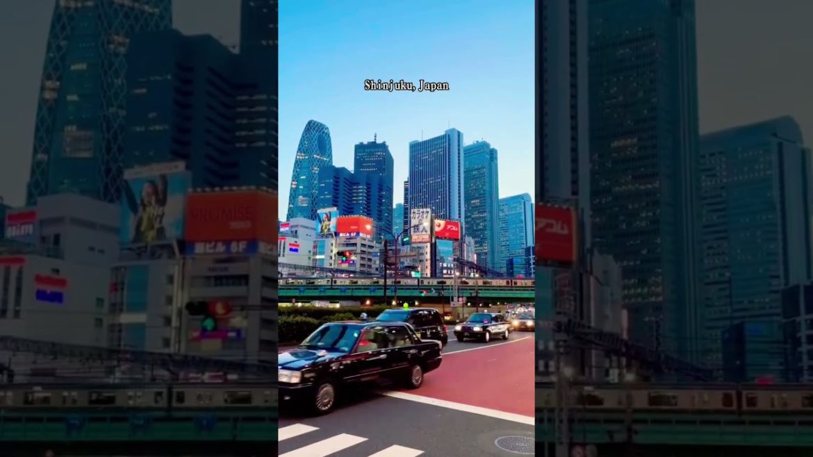 Shinjuku Japan 🇯🇵 #travelvlog #travel #japan #traveling