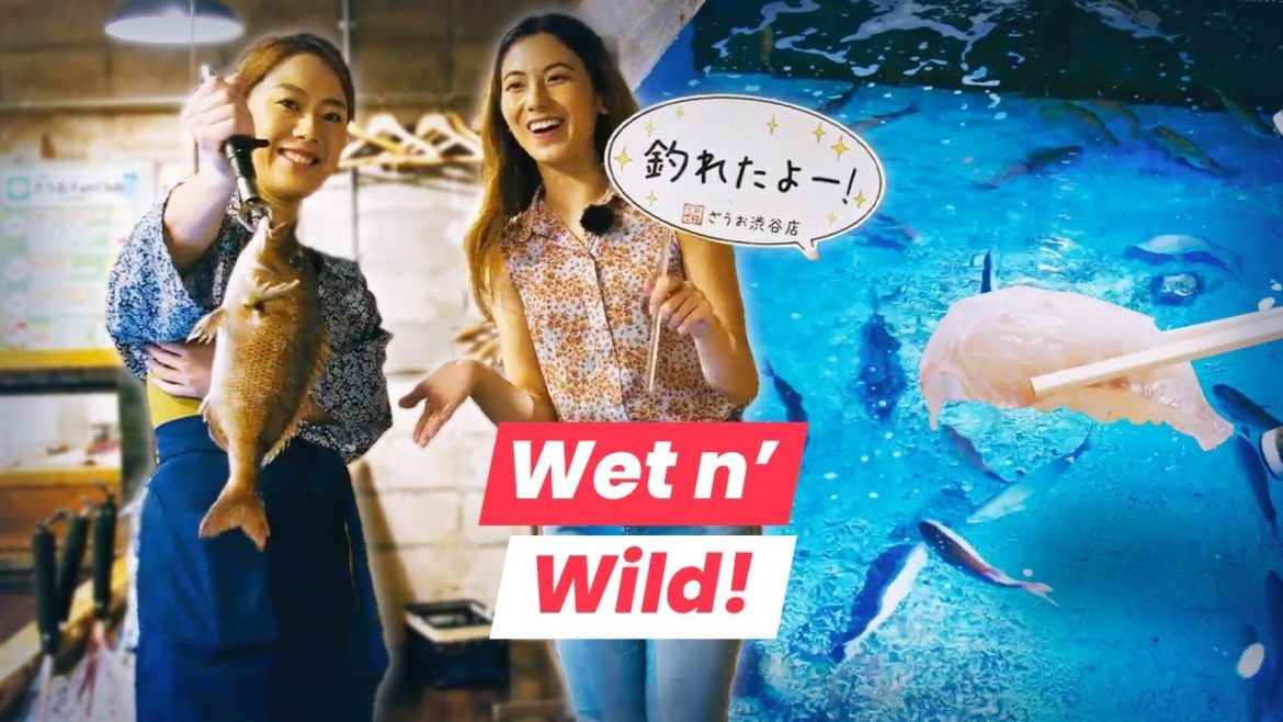 Beat the Heat! Water-Themed Restaurants of Tokyo!