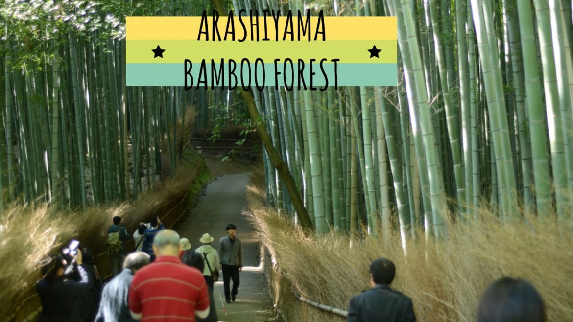 Japan Trip [ep.8 part1] Arashiyama e Bamboo Forest