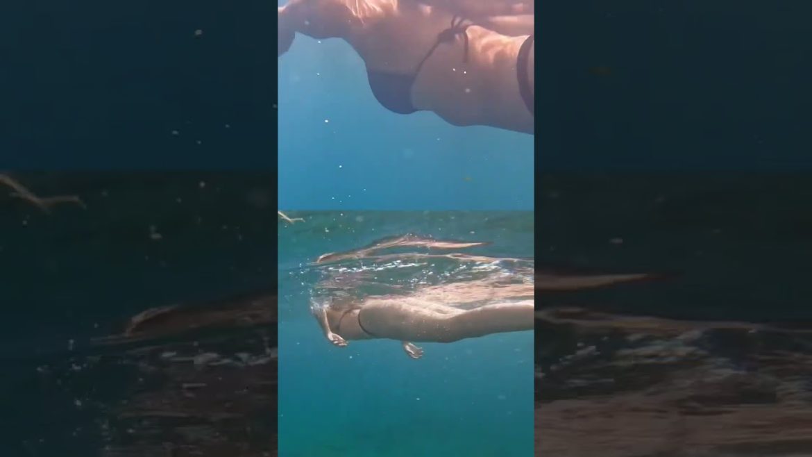 세계여행 🇮🇹포지타노,아말피코스트. 에피소드12에서 계속