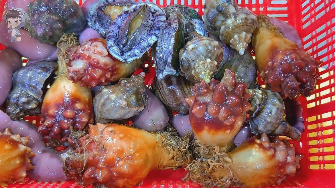 street food asmr food fish cutting korean food asian seafood korea sashimi making video 020822 01