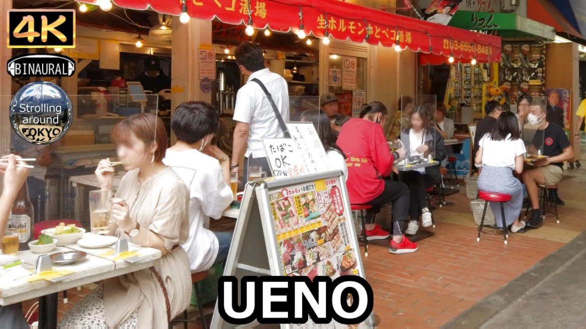 Restaurants in UENO walking tour - 4K Tokyo Japan