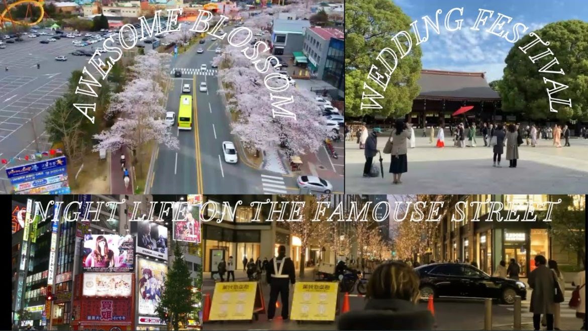 Japan strange country video | Japan Travel video 4k | Japan tour video Japan strange country video | Japan Travel video 4k | Japan tour video