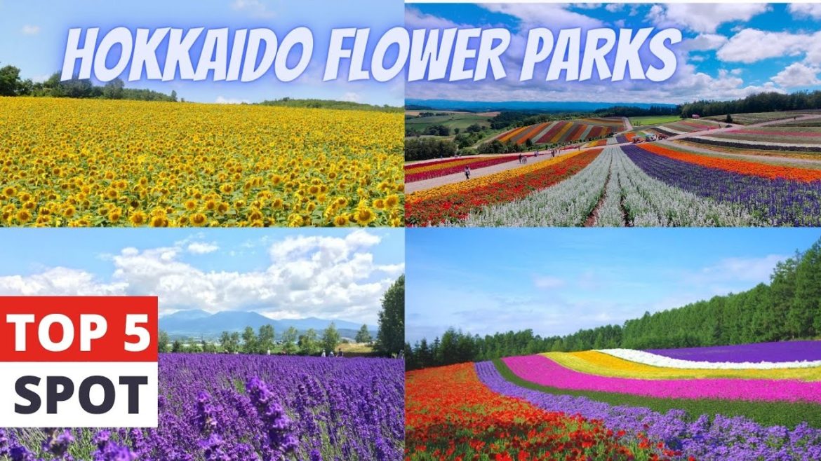 TOP 5 FLOWER FIELDS IN HOKKAIDO [4K] | TOP 5 FLWOER PARKS IN HOKKAIDO | MAMUN CHOWDHURY | JAPAN 2022
