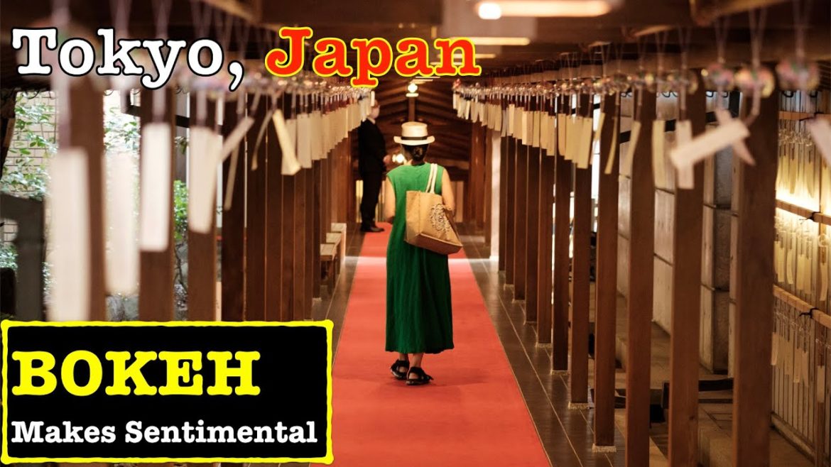 [BOKEH]Japan Walk - Wind chime corridor at Nogi Shrine in Tokyo, Summer saturday afternoon
