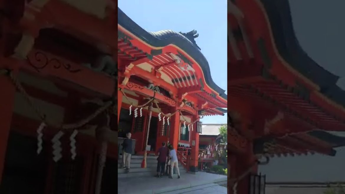 パワースポットの珍神社から国宝、絶景まで和歌山加太で神社めぐり⛩ #shorts #japanesefood パワースポットの珍神社から国宝、絶景まで和歌山加太で神社めぐり⛩ #shorts #japanesefood