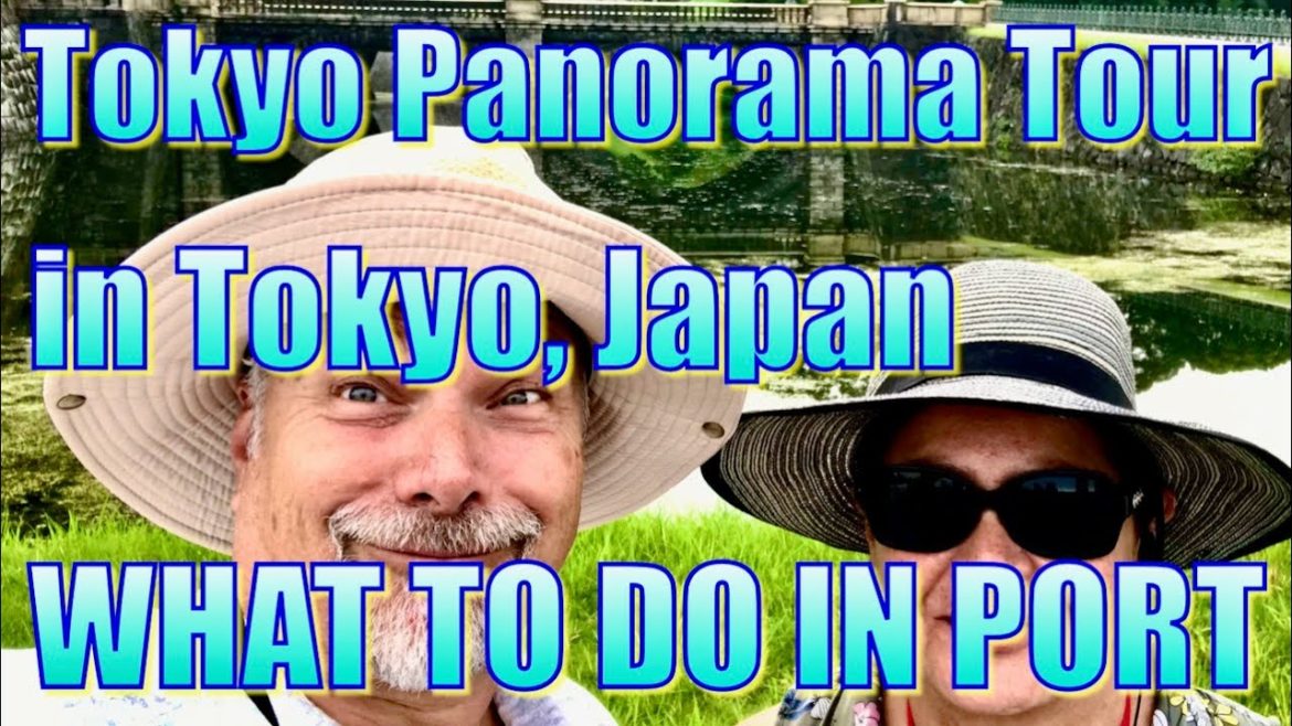 Tokyo Panorama Tour in Tokyo, Japan – What to Do on Your Day in Port. 東京、日本での東京パノラマツアー Tokyo Panorama Tour in Tokyo, Japan - What to Do on Your Day in Port. 東京、日本での東京パノラマツアー