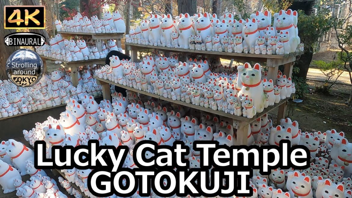 Lucky Cat Temple GOTOKUJI Walking Tour - 4K Tokyo Japan