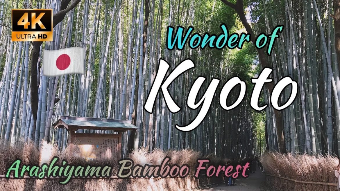 FAMOUS BAMBOO FOREST KYOTO | ARASHIYAMA BAMBOO FOREST | MOST VISITED PLACE IN KYOTO JAPAN| 京都 嵐山 竹林
