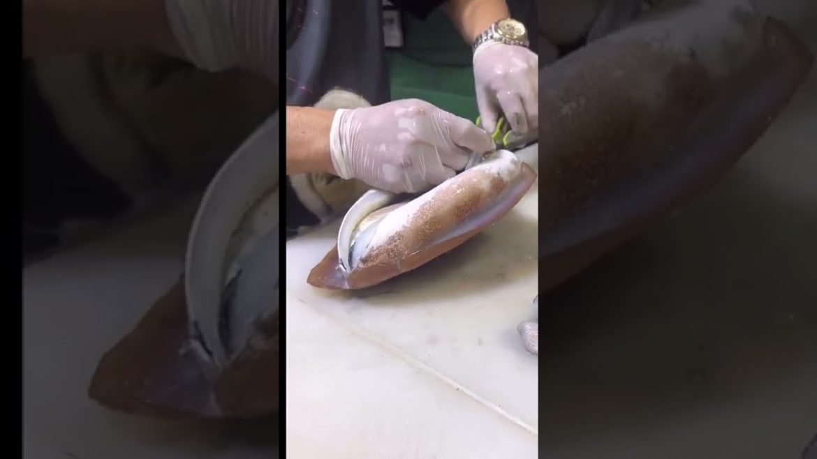 หมึกกระดองซาซิมิ