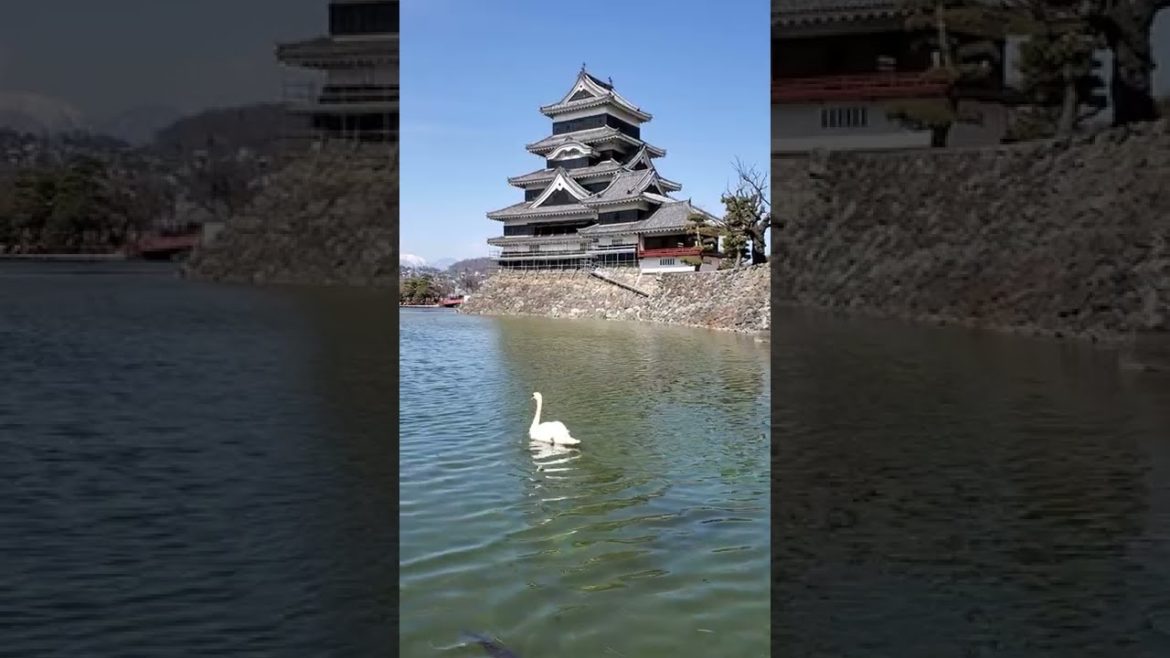 国宝「松本城」(長野県)の歴史的な天守閣を眺める!②(View of the historic keep of Matsumoto Castle, a national treasure) 国宝「松本城」(長野県)の歴史的な天守閣を眺める!②(View of the historic keep of Matsumoto Castle, a national treasure)