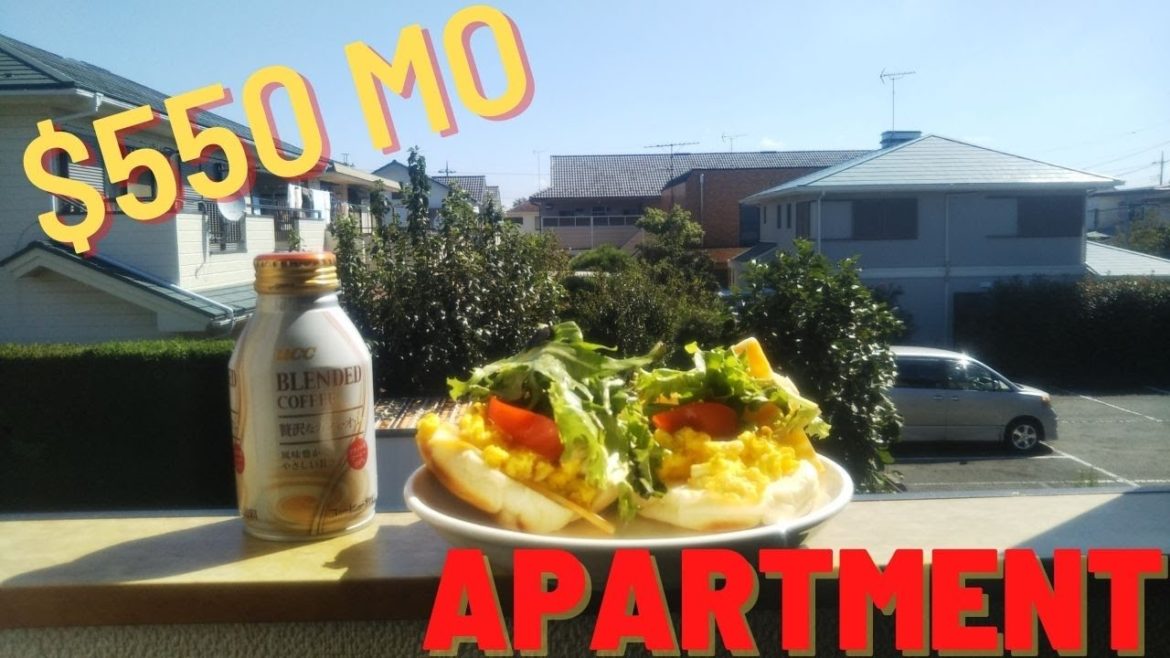 My $550 apartment tour in the Japanese countryside!!