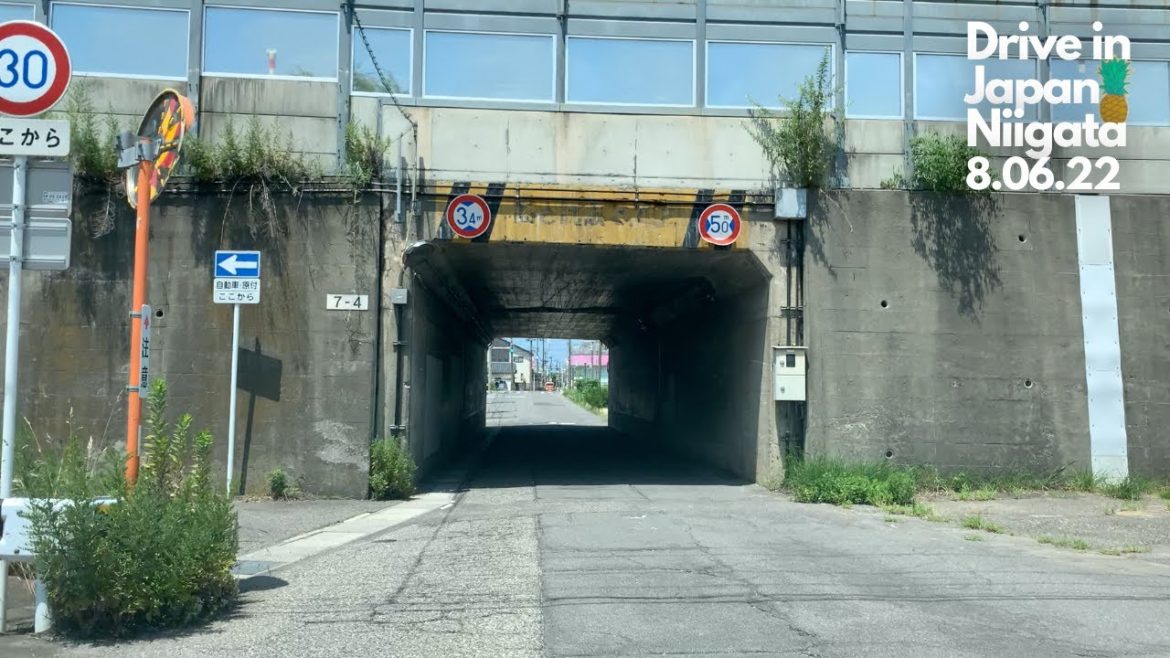 日本ドライブ - 新潟 - 08月06日2022年 | Drive in Japan - Niigata - 08.06.2022