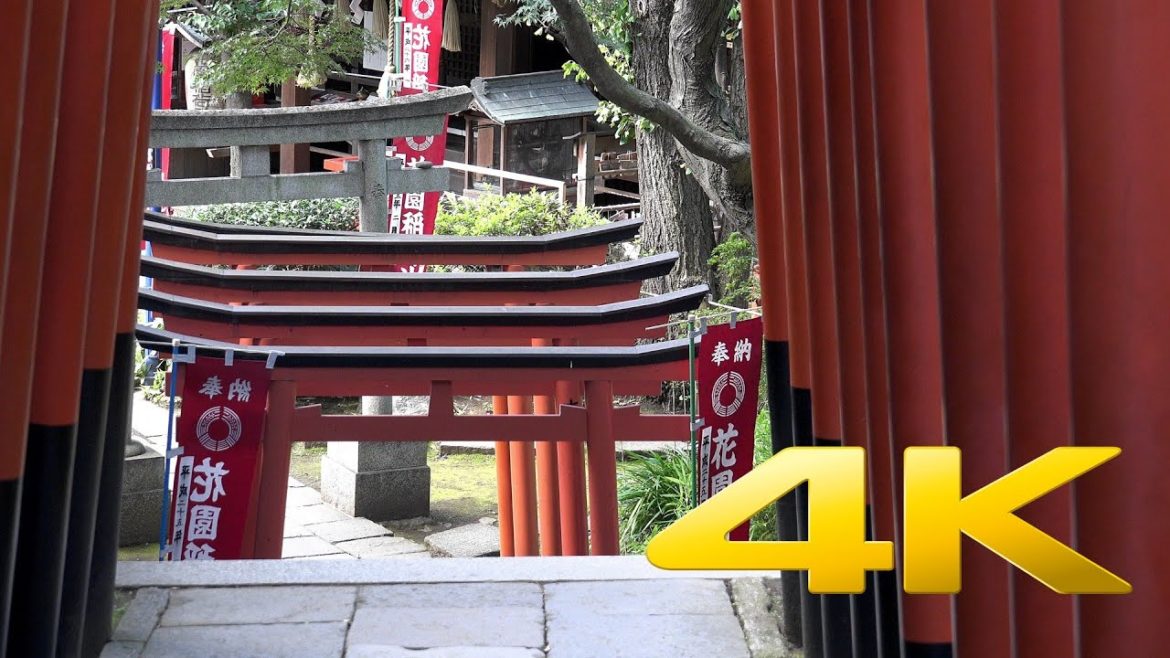 Ueno Park Part 1 - Tokyo - 上野公園 パート1 - 4K Ultra HD