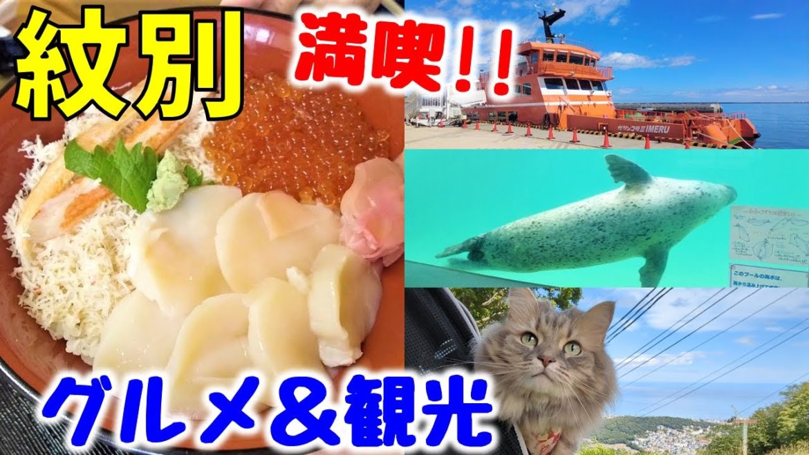 【北海道】紋別の美味すぎる海鮮丼と観光スポットを巡る！【紋別車中泊の旅part３】