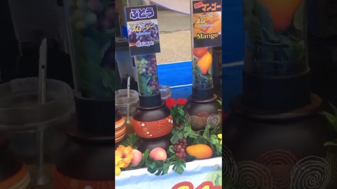 Touring Japan Walkthrough Japanese Street Food and Park Experience