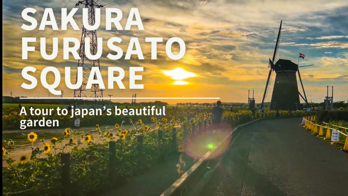 Sakura Furusato Tour, Never seen beauty