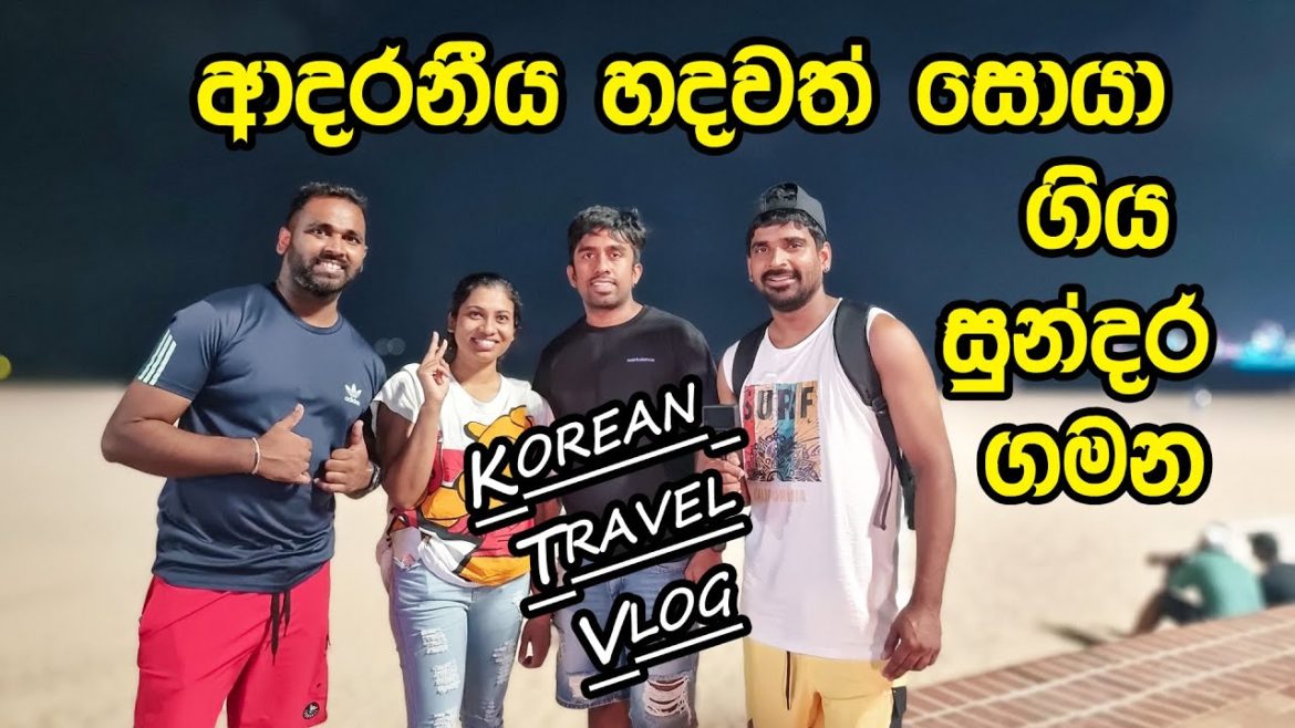 කොරියාවට ආවම ජීවිතේ විදින්න පුලුවන්ද🤳 summer vacation 2022|Manjuwithsouthkorea| කොරියාවට ආවම ජීවිතේ විදින්න පුලුවන්ද🤳 summer vacation 2022|Manjuwithsouthkorea|