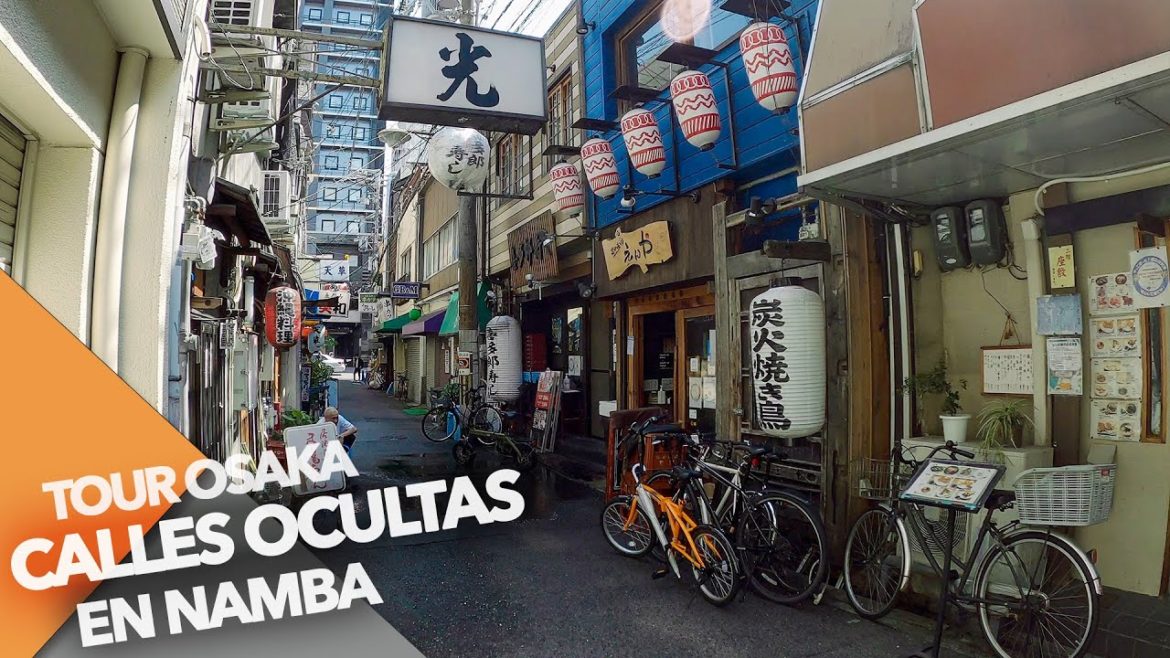 EL ARTE DE DESCUBRIR CALLES A PLENO DÍA – TOUR REMOTO POR OSAKA EL ARTE DE DESCUBRIR CALLES A PLENO DÍA - TOUR REMOTO POR OSAKA