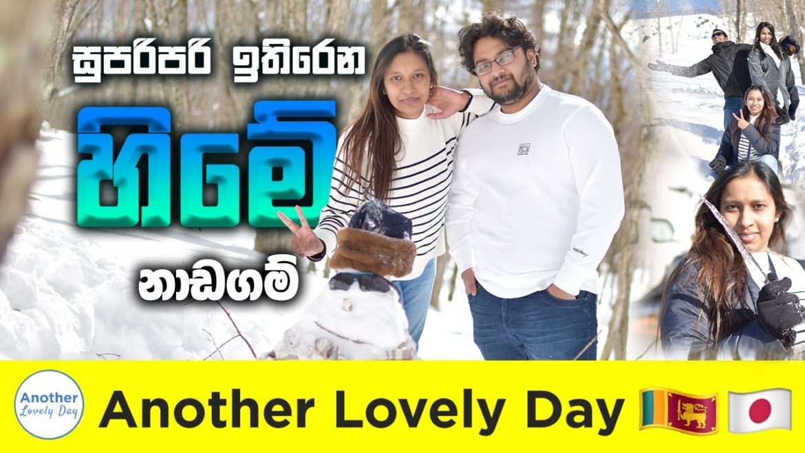 මදි නොකියන්න හිමේ සෙල්ලම්/ Nagano tour #winter #nagano #japan