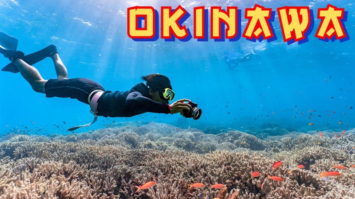 Okinawa | Ishigaki | Paradise In Japan – 2022 Okinawa | Ishigaki | Paradise In Japan - 2022