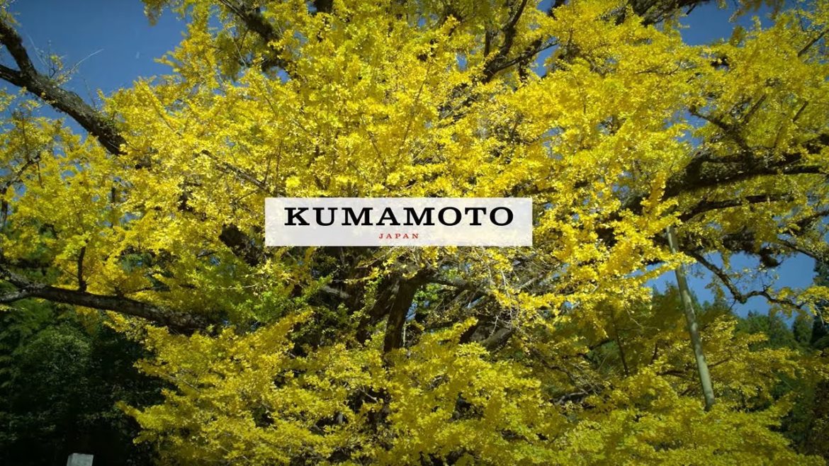[Autumn] Kumamoto, Japan 8K - 熊本県