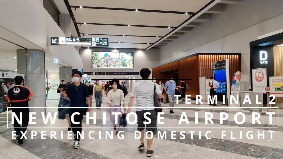 NEW CHITOSE AIRPORT, HOKKAIDO | SAPPORO TO NARITA | EXPERIENCING DOMESTIC FLIGHT | MAMUN CHOWDHURY