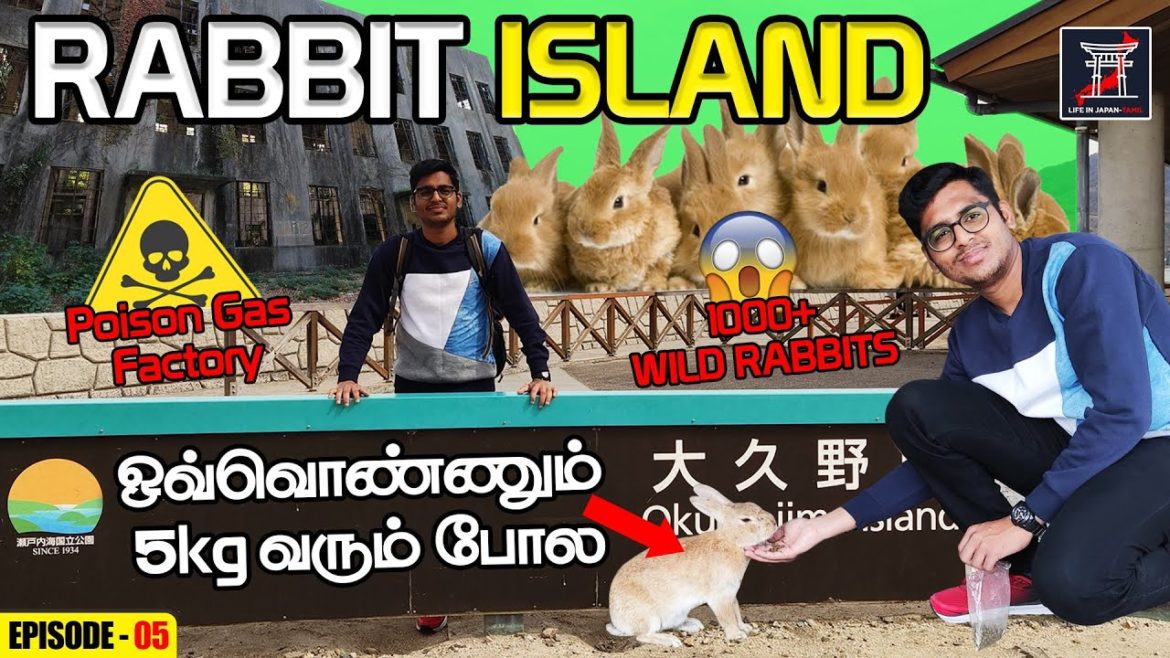 🐰ஜப்பான் முயல் தீவு | 2nd World war Poison Gas Factory | Rabbit Island Ep-5 | Hiroshima | LIJ Tamil