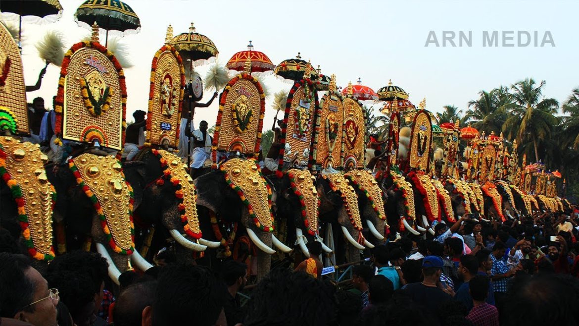 Parkkadi Pooram 2018 Kerala Elephants Parkkadi Pooram 2018 Kerala Elephants